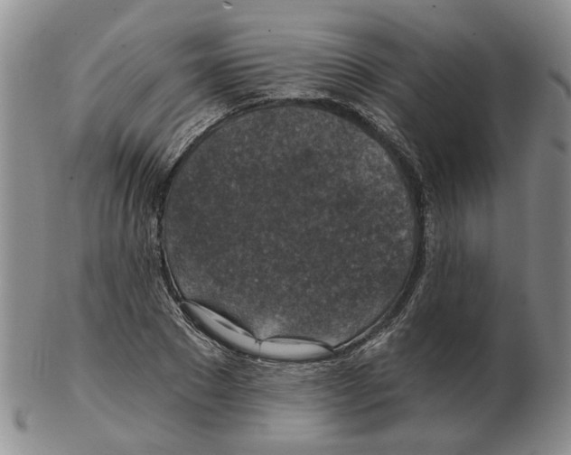 X0000102770881200809151037