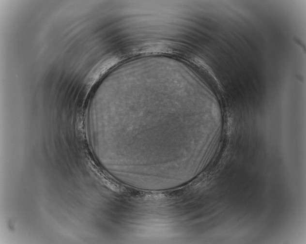 X0000102770882200809151037