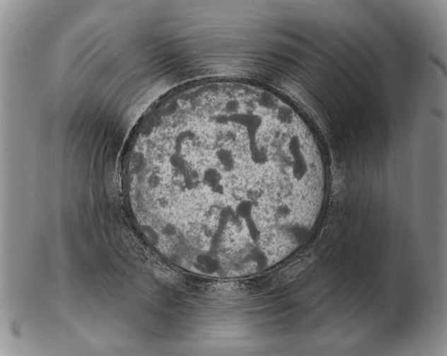 X0000102770883200809151037