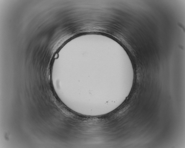 X0000102770885200809151036