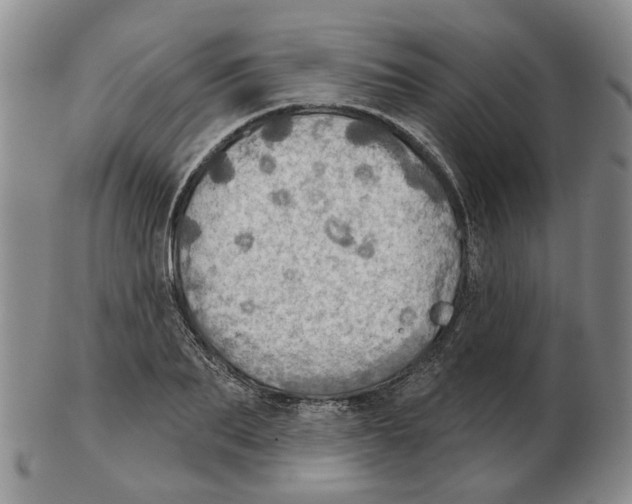 X0000102770887200809151036