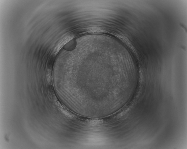 X0000102770889200809151036