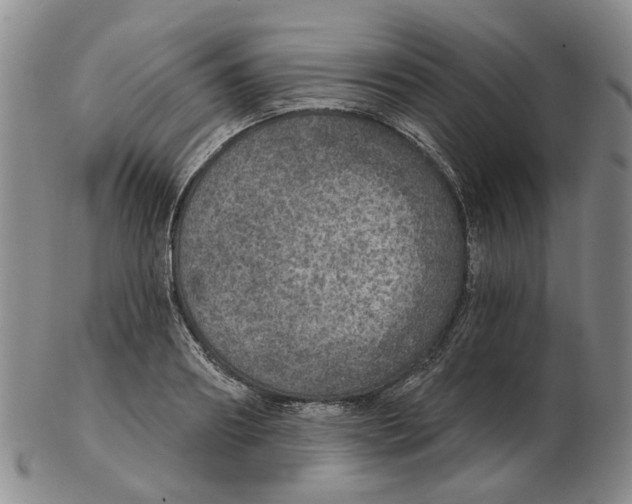 X0000102770890200809151036