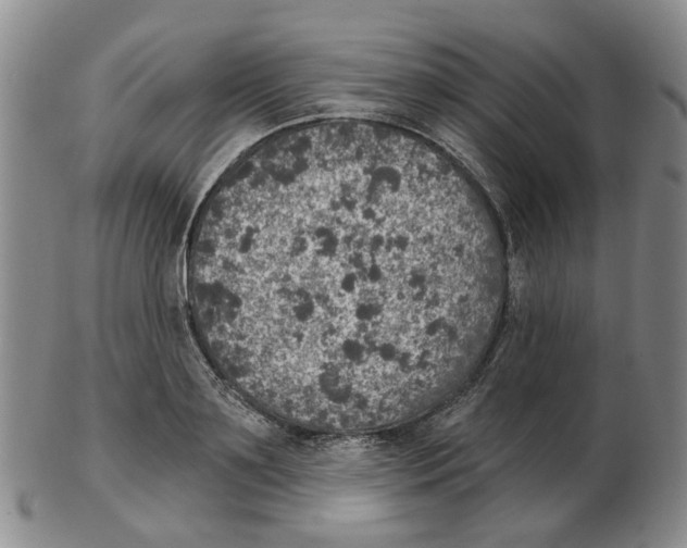 X0000102770891200809151036