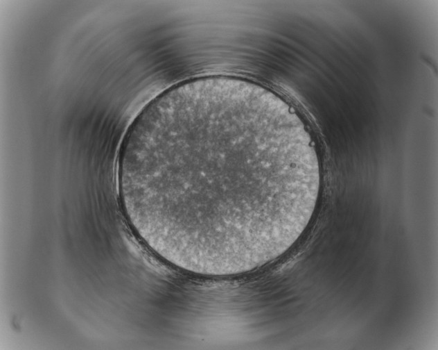 X0000102770892200809151036