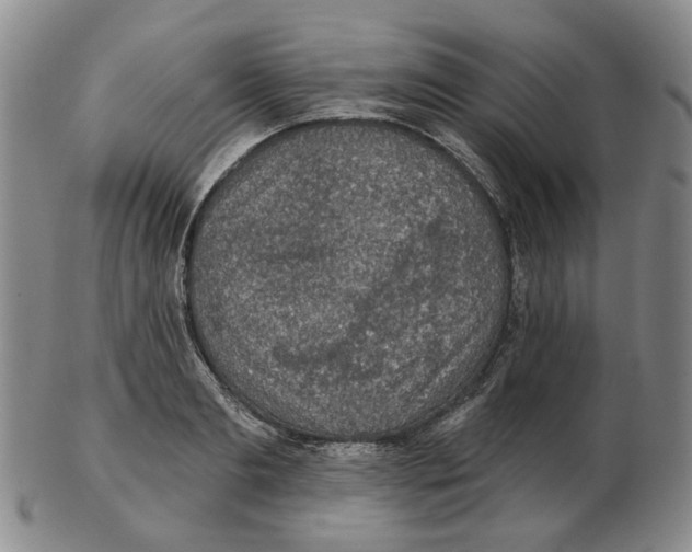 X0000102770893200809151036