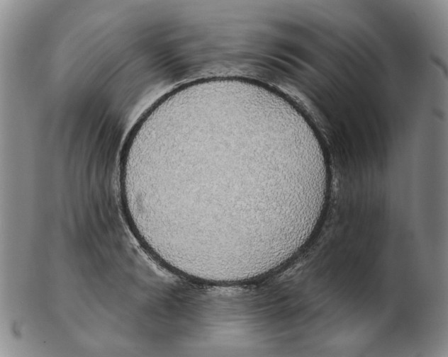 X0000102770894200809151036