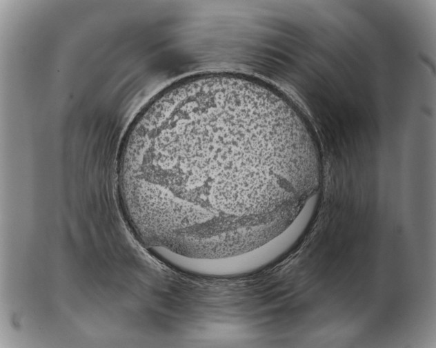 X0000102770895200809151036