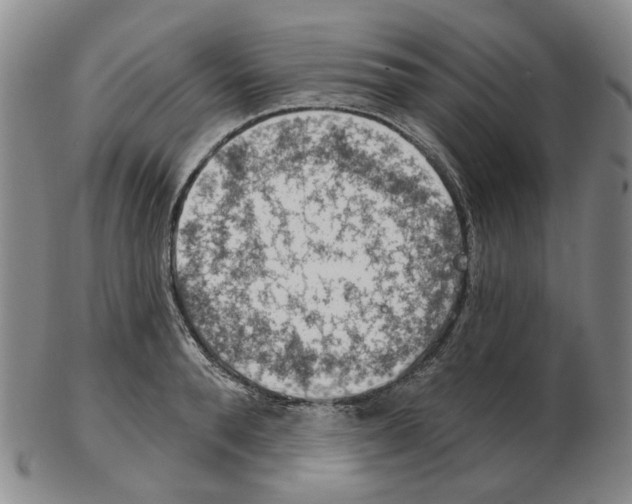 X0000102770896200809151036