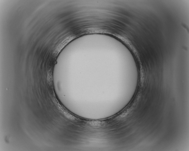 X0000102770897200809151036