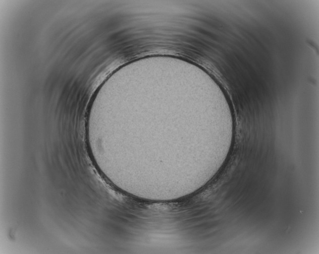 X0000102770898200809151036