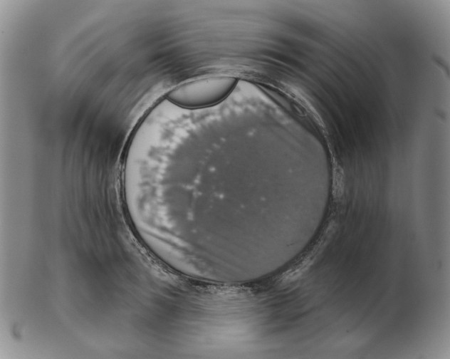 X0000102770899200809151036