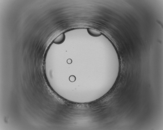 X0000102770901200809151036