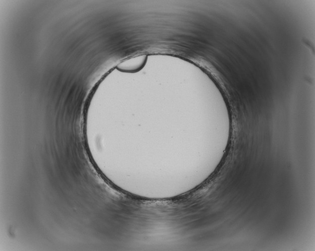 X0000102770902200809151036