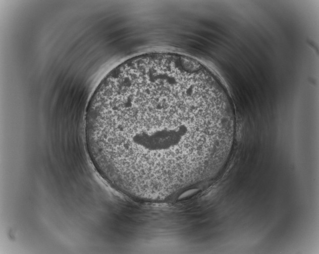 X0000102770903200809151036