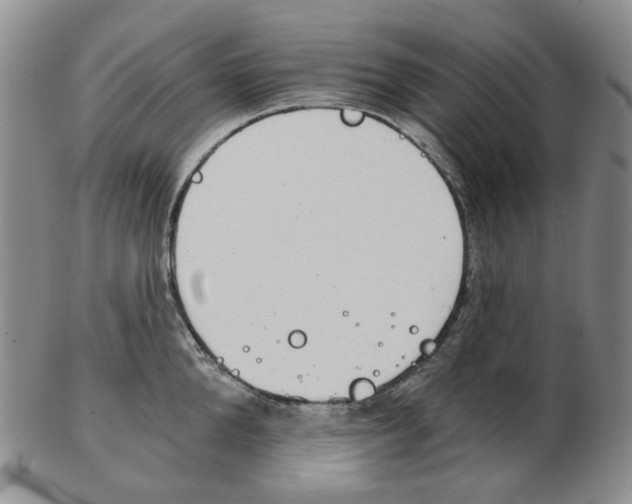 X0000102770904200809151036