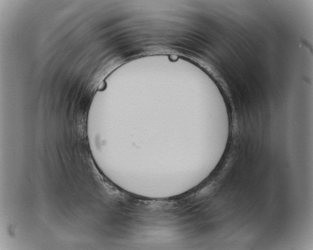 X0000102770905200809151036