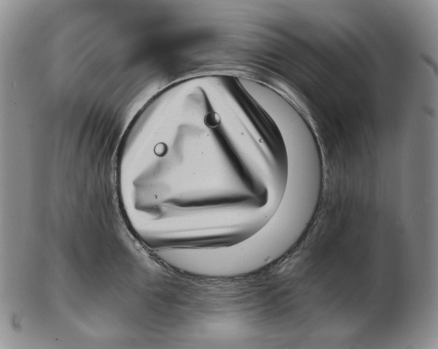 X0000102770907200809151036