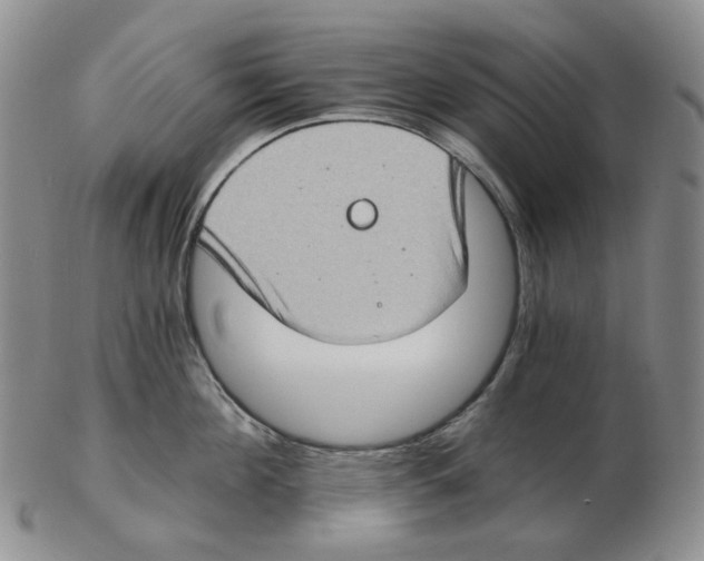 X0000102770908200809151036