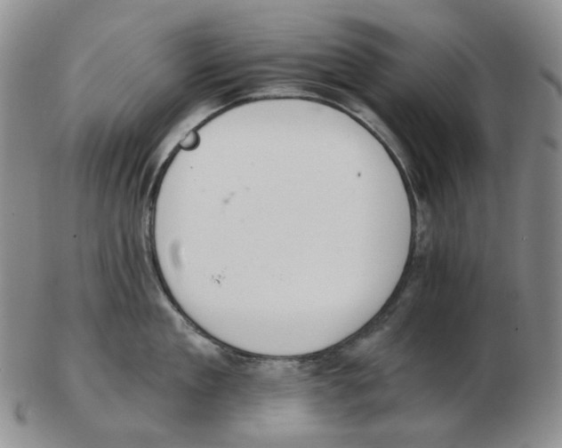 X0000102770909200809151036