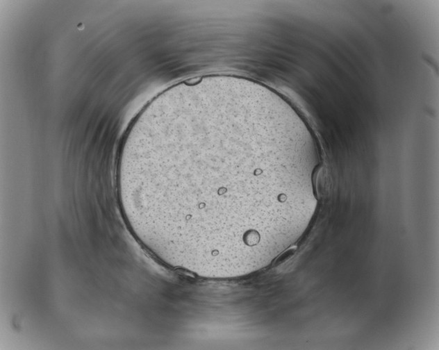 X0000102770910200809151036