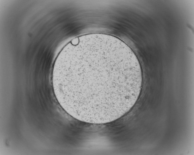 X0000102770912200809151036