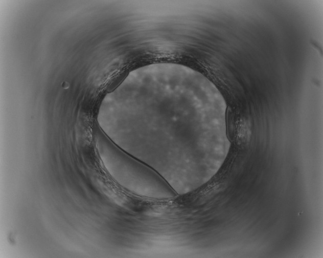 X0000102770916200809151035