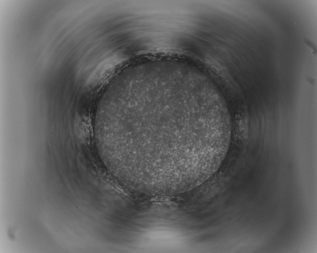 X0000102770918200809151035