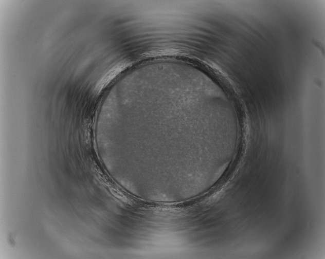 X0000102770921200809151035