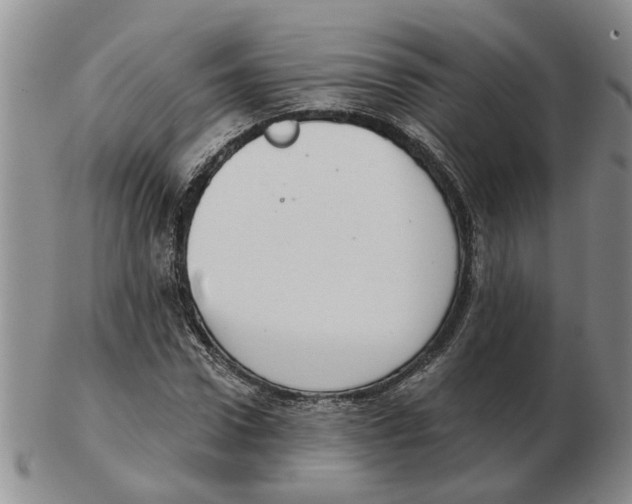 X0000102770922200809151035