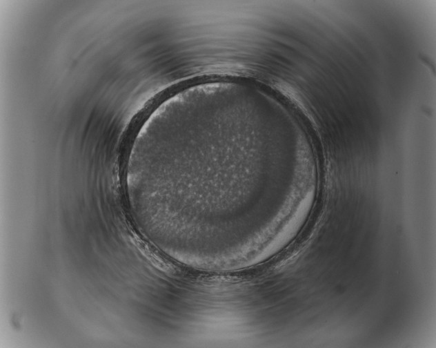 X0000102770923200809151035