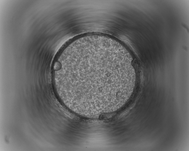 X0000102770924200809151035