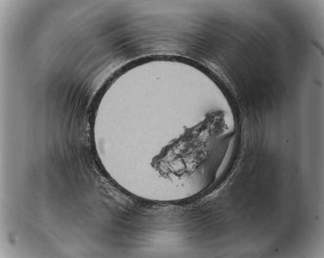 X0000102770926200809151035