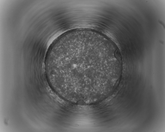 X0000102770928200809151035