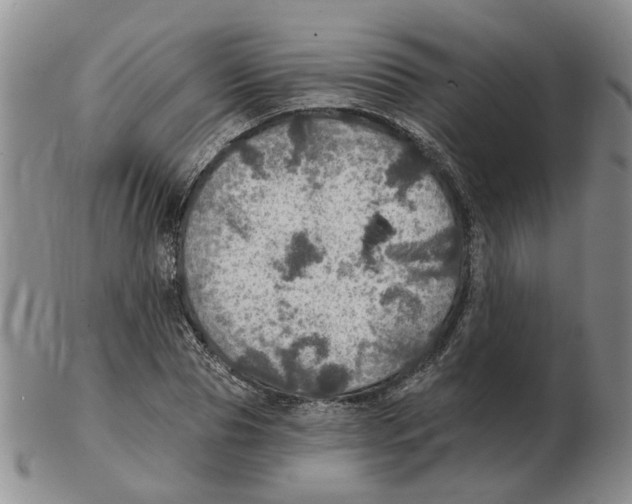 X0000102770929200809151036