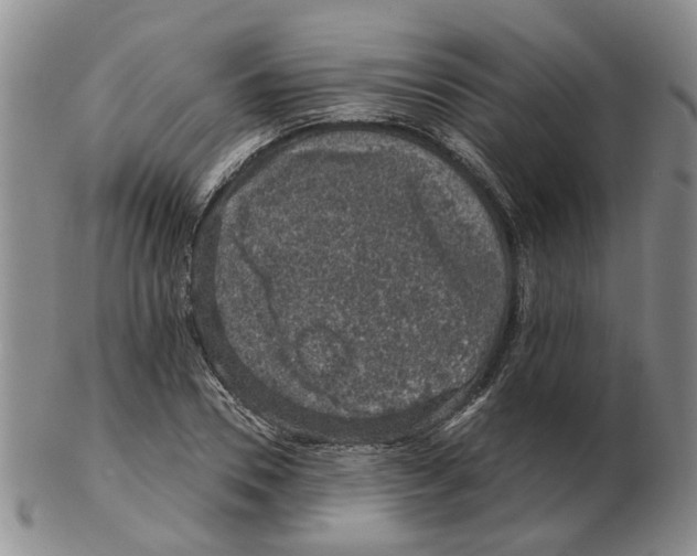 X0000102770930200809151036