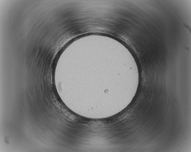 X0000102770931200809151036