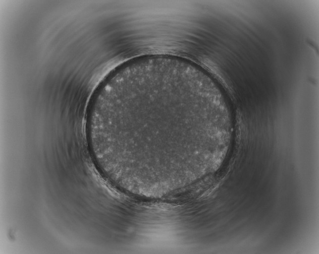 X0000102770932200809151036