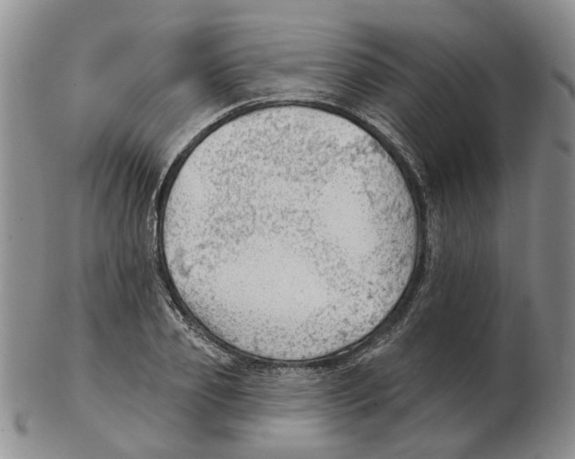 X0000102770933200809151036