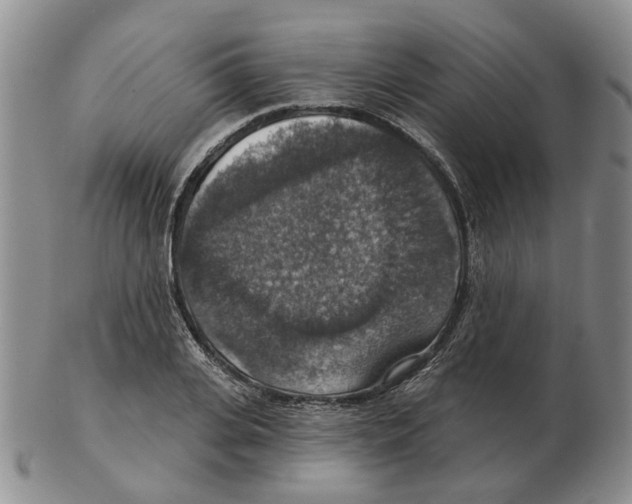 X0000102770935200809151036