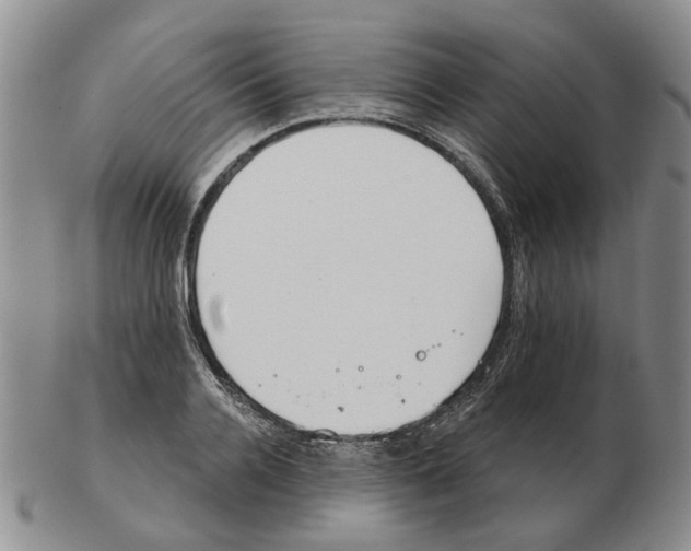 X0000102770936200809151036