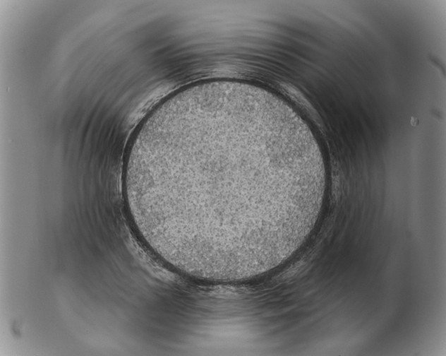 X0000102770938200809151036