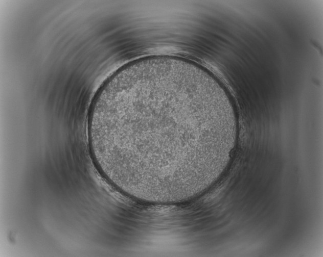 X0000102770939200809151036