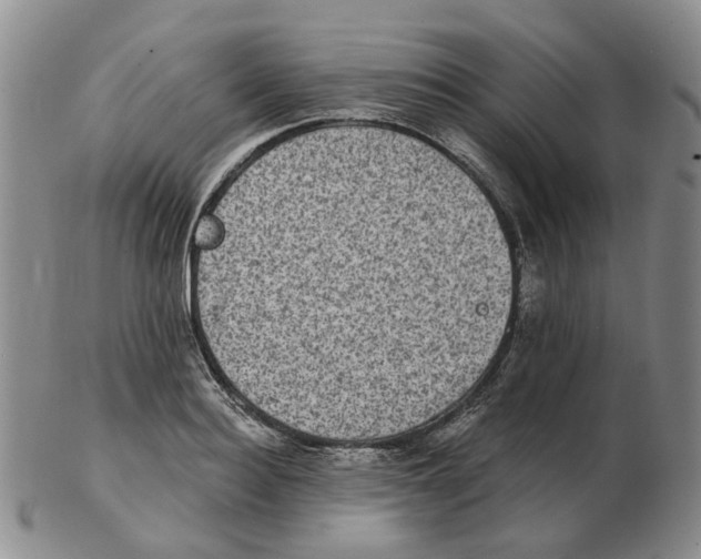 X0000102770940200809151036