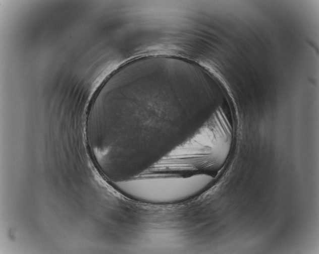 X0000102770941200809151036