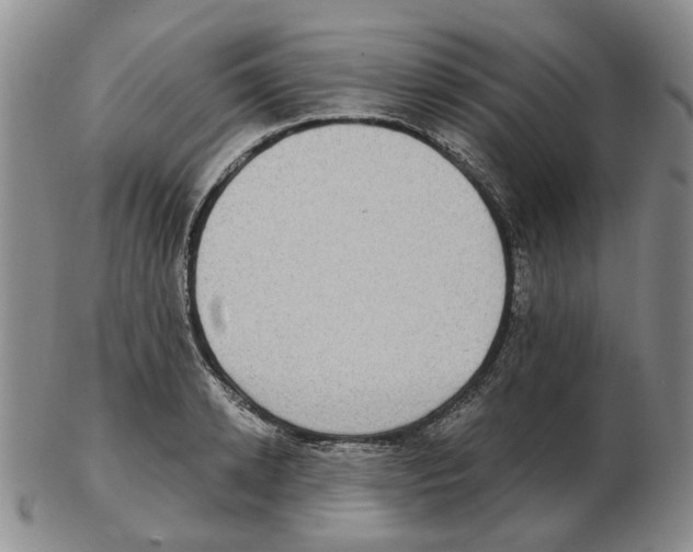 X0000102770942200809151036