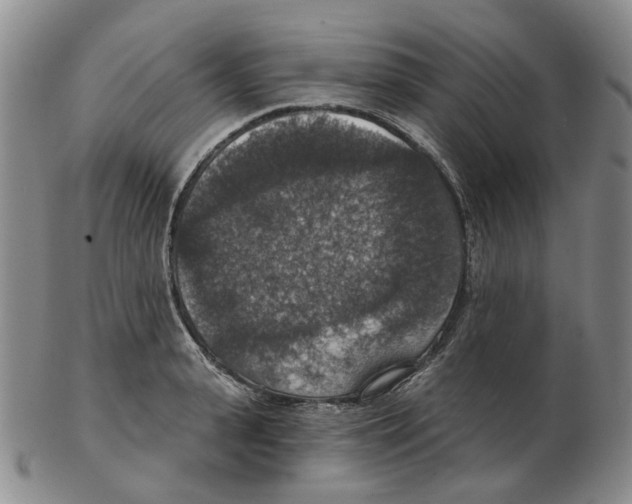 X0000102770943200809151036