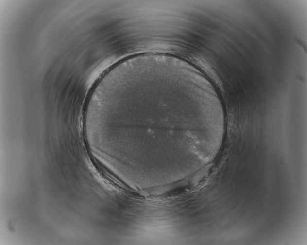 X0000102770944200809151036