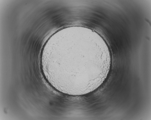 X0000102770949200809151036