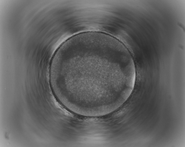 X0000102770950200809151036